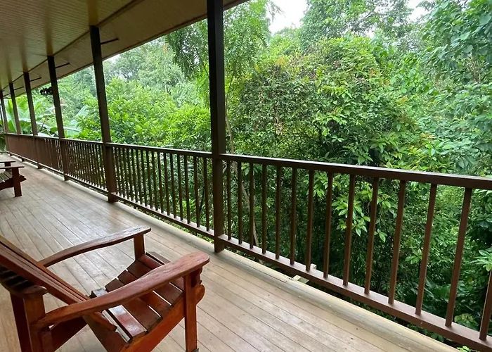 Apartamentos Caligo De Osa